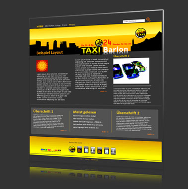 Webdesign Barion_Grau
